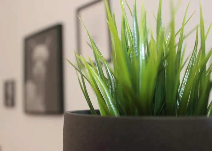 Appartamento Riari 59 Trastevere - Vacation M&d